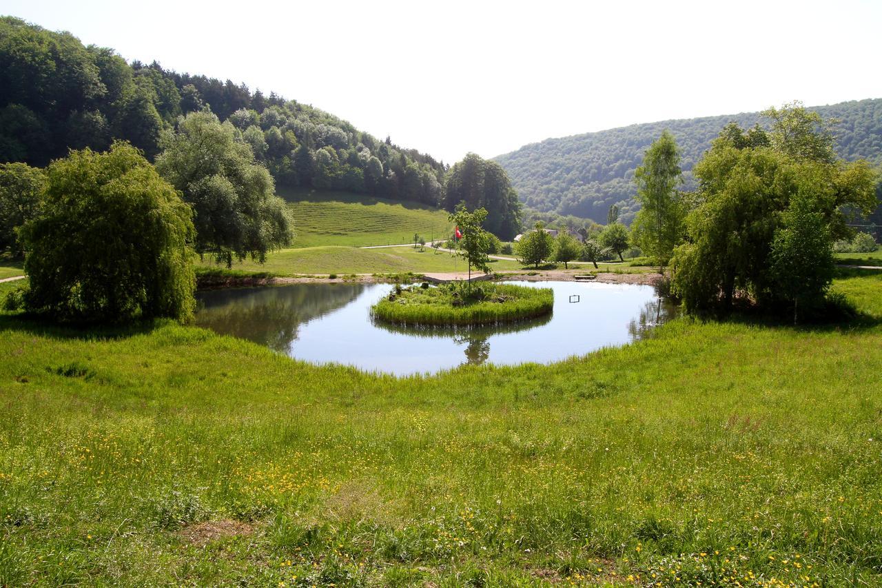 Bad Schauenburg Hotel Liestal Luaran gambar
