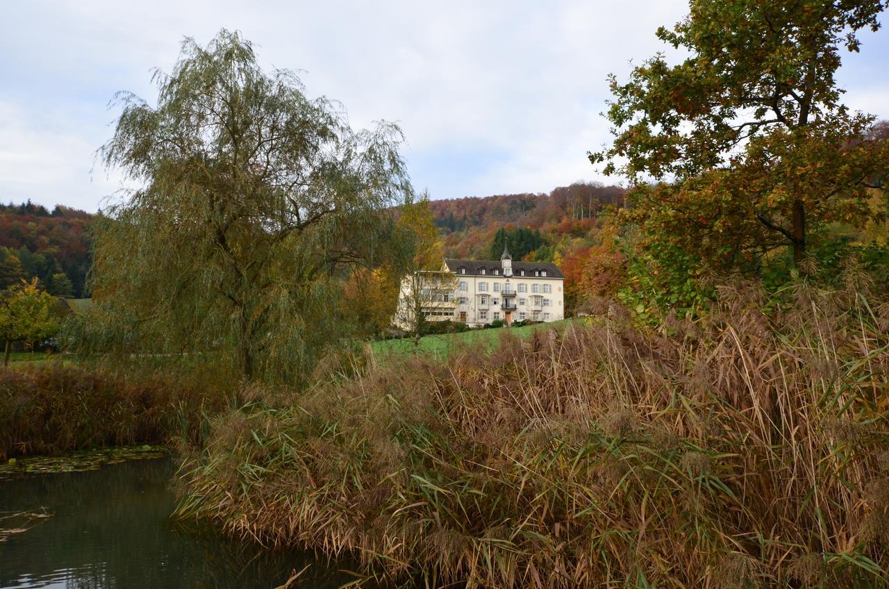 Bad Schauenburg Hotel Liestal Luaran gambar