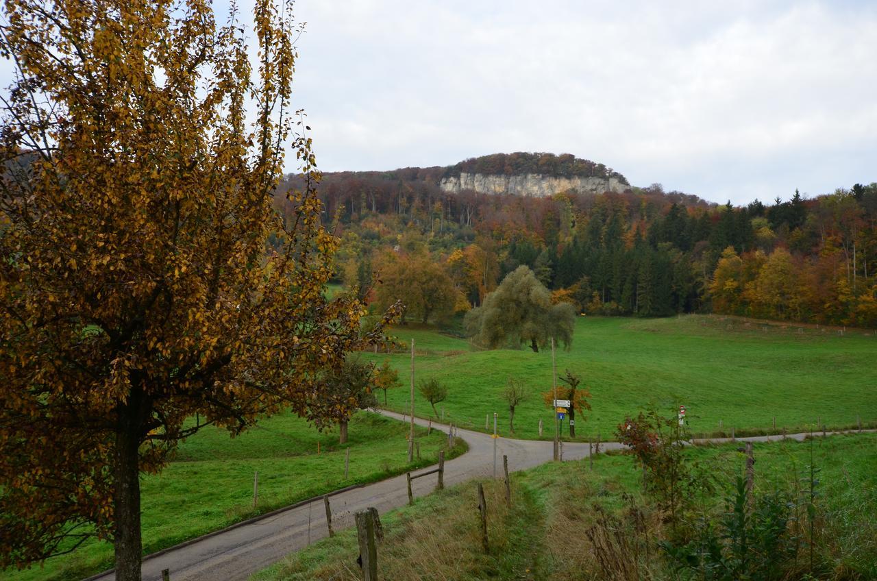 Bad Schauenburg Hotel Liestal Luaran gambar