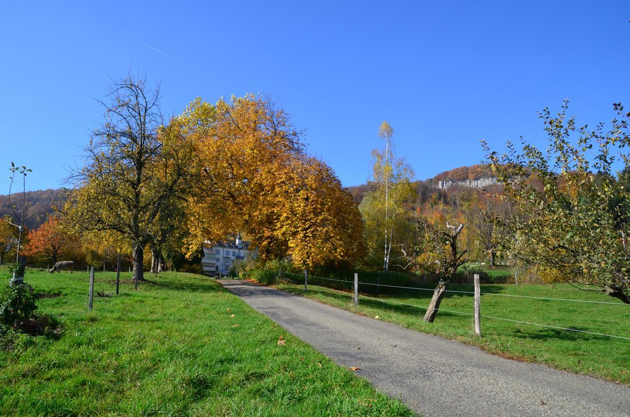 Bad Schauenburg Hotel Liestal Luaran gambar
